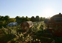 Wohnmobilstellplatz auf dem Winzerhof - Weingut Müller im Auerberg | Nordheim, HeilbronnerLand, Baden-Württemberg, Deutschland | © Stefan Leitner