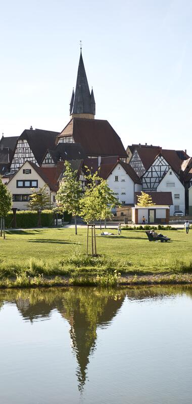 Weiherpark Eppingen - Fachwerkstadt - Fachwerkstraße | Eppingen, HeilbronnerLand & Kraichgau-Stromberg, Baden-Württemberg, Deutschland