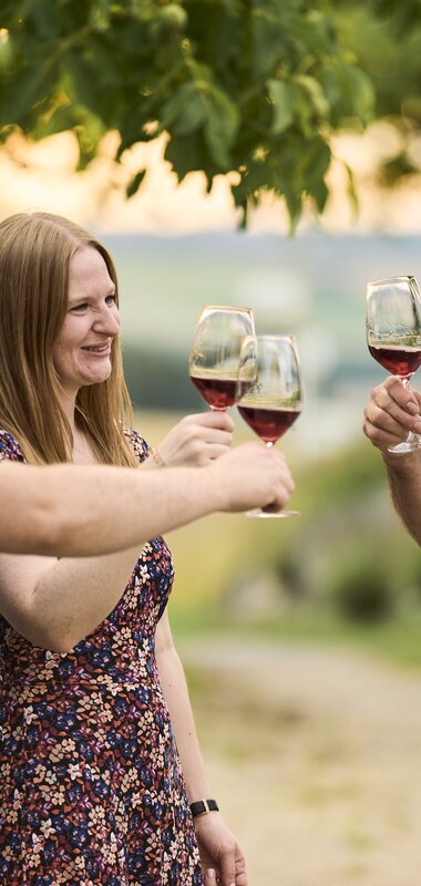 Weingut Schlör in Reicholzheim, Taubertal, Baden-Württemberg, Deutschland | © Stefan Leitner