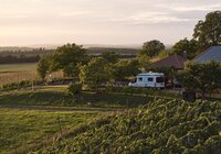 Weingut Schlör in Reicholzheim, Taubertal, Baden-Württemberg, Deutschland
