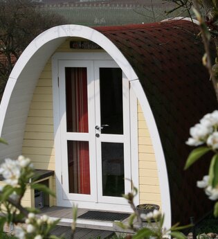 Der Campingpod von außen ist umrahmt von vielen Bäumen.