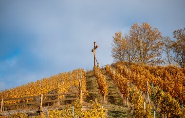 Aussichtspunkt Scheuerberg | Neckarsulm | HeilbronnerLand
