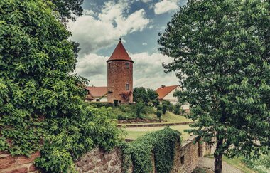 Im Vordergrund ist eine alte mit Efeu bewachsene Stadtmauer zu sehen, daneben ein Baum. In der Mitte des Bildes ist der Turm einer Burg mit einem Spitzdach. Neckargemünd im Odenwald.