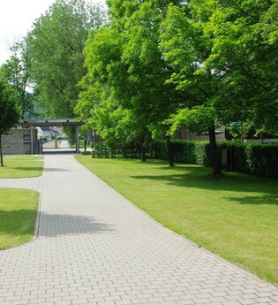 Die Plätze sind mit Rasen bedeckt und von Bäumen beschattet