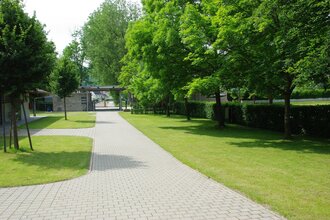 Die Plätze sind mit Rasen bedeckt und von Bäumen beschattet