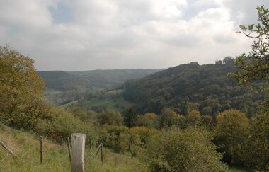 Blick ins Brettachtal bei Maienfels | Wüstenrot | HeilbronnerLand