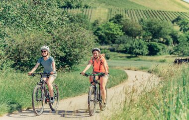 Schwaigern Wuerttemberger Weinradweg Leinbachtal | HeilbronnerLand