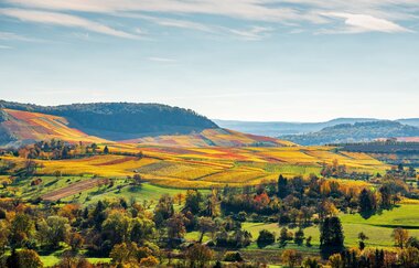 Weinlagen am Heuchelberg | Naturpark Stromberg-Heuchelberg | HeilbronnerLand