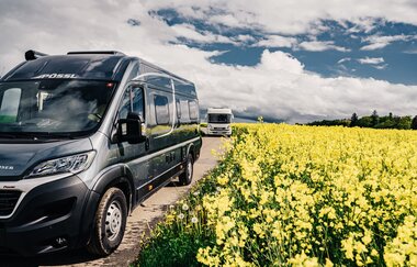 Ein graues Wohnmobil auf einer Straße. Auf der rechten Seite ein gelbes Rapsfeld. Odenwald.
