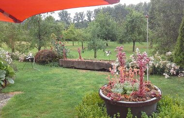 Der Naturgarten mit Blumenbeet und weitläufiger grüner Wiese.