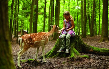 Natur-Resort Tripsdrill