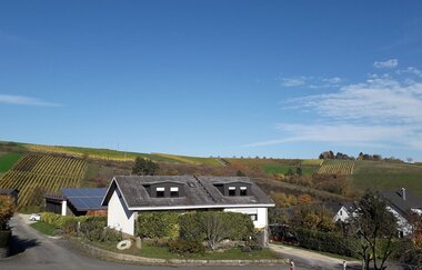 Ökologischer Land- & Weinbau Seitz