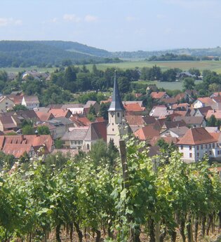 Stellplatz auf dem Weingut GravinO