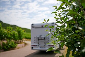 Stellplatz auf dem Weingut Zaiß