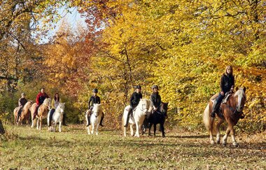 Stromberg Camping Knittlingen-Freudenstein