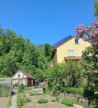 Träumen unter Bäumen in Kirchberg: Außenansicht