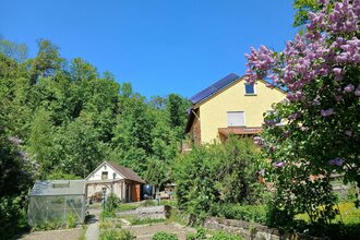 Träumen unter Bäumen in Kirchberg: Außenansicht