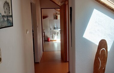 Träumen unter Bäumen in Kirchberg: Flur