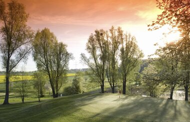 Der Golfplatz im Abendlicht