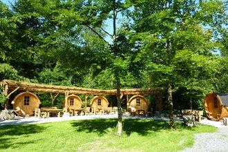 Die Campingfässer liegen idyllisch unter Bäumen