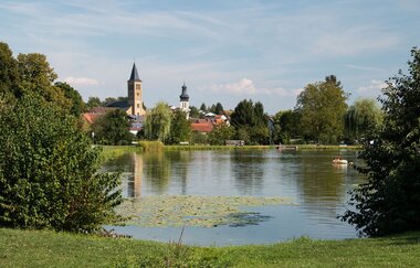 Elsenzer See | Badesee Eppingen | HeilbronnerLand