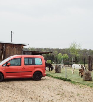 Ein rotes Auto steht vor einer Scheune. Auf der rechten Seite sind zwei Esel. Hardheim im Odenwald.