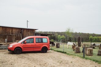 Ein rotes Auto steht vor einer Scheune. Auf der rechten Seite sind zwei Esel. Hardheim im Odenwald.