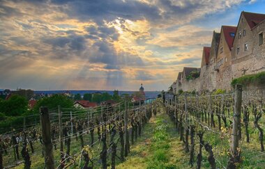 Lauffen am Neckar | HeilbronnerLand