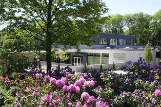 Blick auf Gebäude, die Katzenbuckel-Therme, davor eine Blumenfeld mit rosa und lila farbenen Blumen. Waldbrunn im Odenwald.