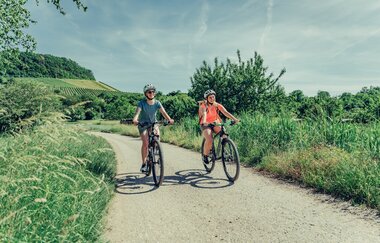 Radfahrer am Württemberger Weinradweg im Leintal