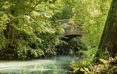 Ein kleiner Bach mit einer steinernen Brücke mit Rundbogen. Die Uferseiten sind stark bewachsen und die Äste ragen über die Schefflenz. Schefflenz im Odenwald