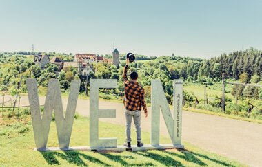 Blick auf die Burg Liebenstein mit Wein-Fotospot