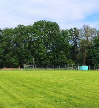 Wohnmobilstellplatz Gerlachsheim