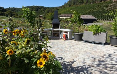 Ferienwohnung Heuhölzle | Brackenheim-Neipperg | Grill