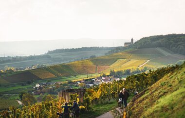 Am Württembergischen Weinwanderweg im Zabergäu mit Blick auf Burg Neipperg | Brackenheim-Neipperg | HeilbronnerLand