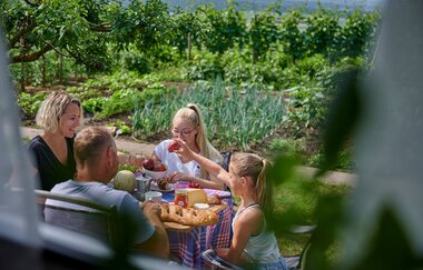 Wohnmobilstellplatz Panoramaweingut Baumgärtner Sachsenheim
