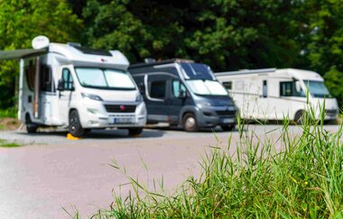 Drei Wohnmobile auf einem Stellplatz, im Vordergrund Gras, im Hintergrund Bäume.