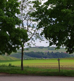 Stellplatz | Weingärtner Cleebronn-Güglingen | HeilbronnerLand