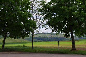 Stellplatz | Weingärtner Cleebronn-Güglingen | HeilbronnerLand