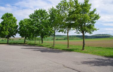 Stellplatz | Weingärtner Cleebronn-Güglingen | HeilbronnerLand