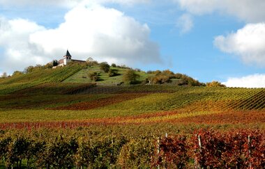 Michaelsberg Cleebronn | Schönste Weinsicht Württemberg 2020 | HeilbronnerLand