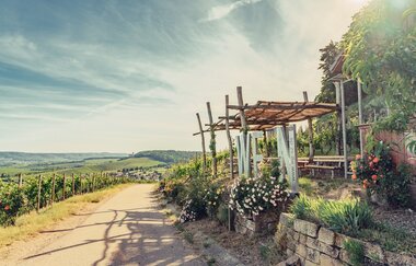 Weinausschank im Zweifelberg | Weinsüden Weinort Brackenheim | HeilbronnerLand