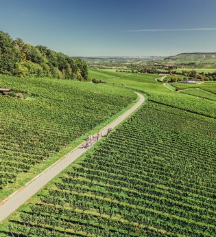 Weingut Koppenhöfer in Löwenstein | Wohnmobilstellplatz | Besen | Wein Süden | Hotel | Weinsberger Tal