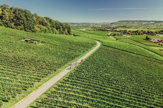Weingut Koppenhöfer in Löwenstein | Wohnmobilstellplatz | Besen | Wein Süden | Hotel | Weinsberger Tal