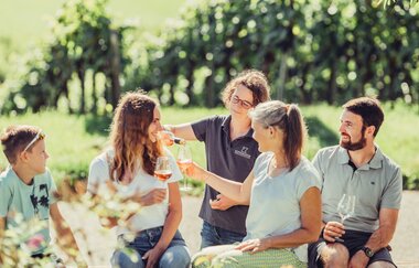 Weingut Koppenhöfer in Löwenstein | Wohnmobilstellplatz | Besen | Wein Süden | Hotel | Weinsberger Tal