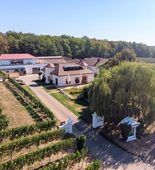 Weingut Kurz-Wagner | Talheim | HeilbronnerLand