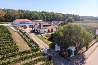Weingut Kurz-Wagner | Talheim | HeilbronnerLand