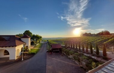 Weingut Kurz-Wagner - Aussichtslage auf dem Haigern | Talheim | HeilbronnerLand