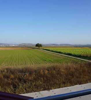 Balkon Aussicht FeWo 3 Terrassenlage, Weingut Schaaf Lauffen