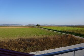 Balkon Aussicht FeWo 3 Terrassenlage, Weingut Schaaf Lauffen